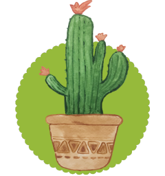 Succulents & Cactus
