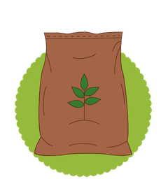 Seeds