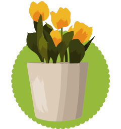 Flowering Plants