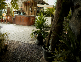 Plant Gallery