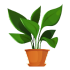 Browse Plants