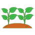 Enjoy Plants