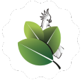 why choose eco green earth